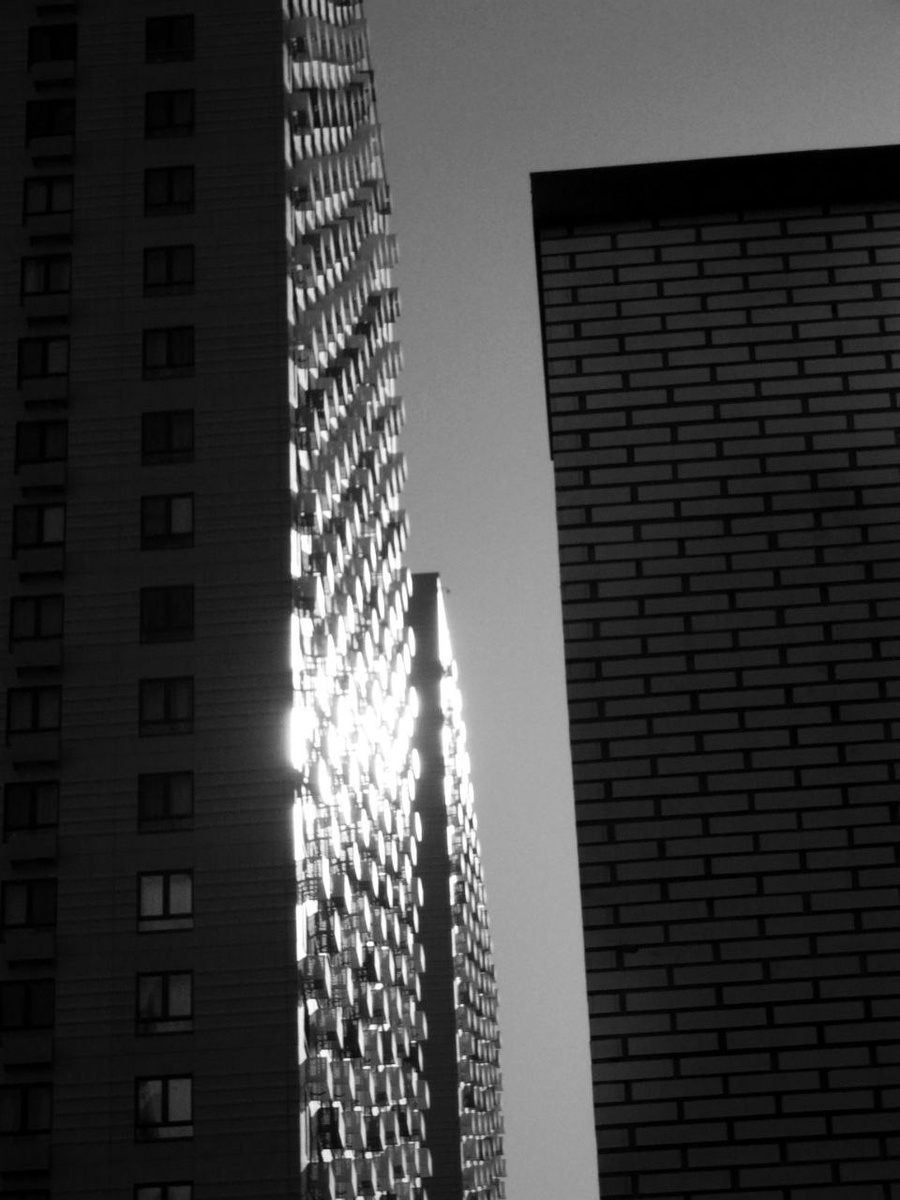 Каменные джунгли 