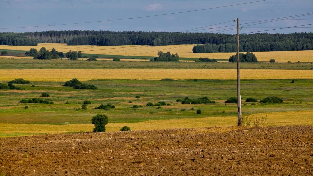    Aleksander Lyskin/Global Look Press