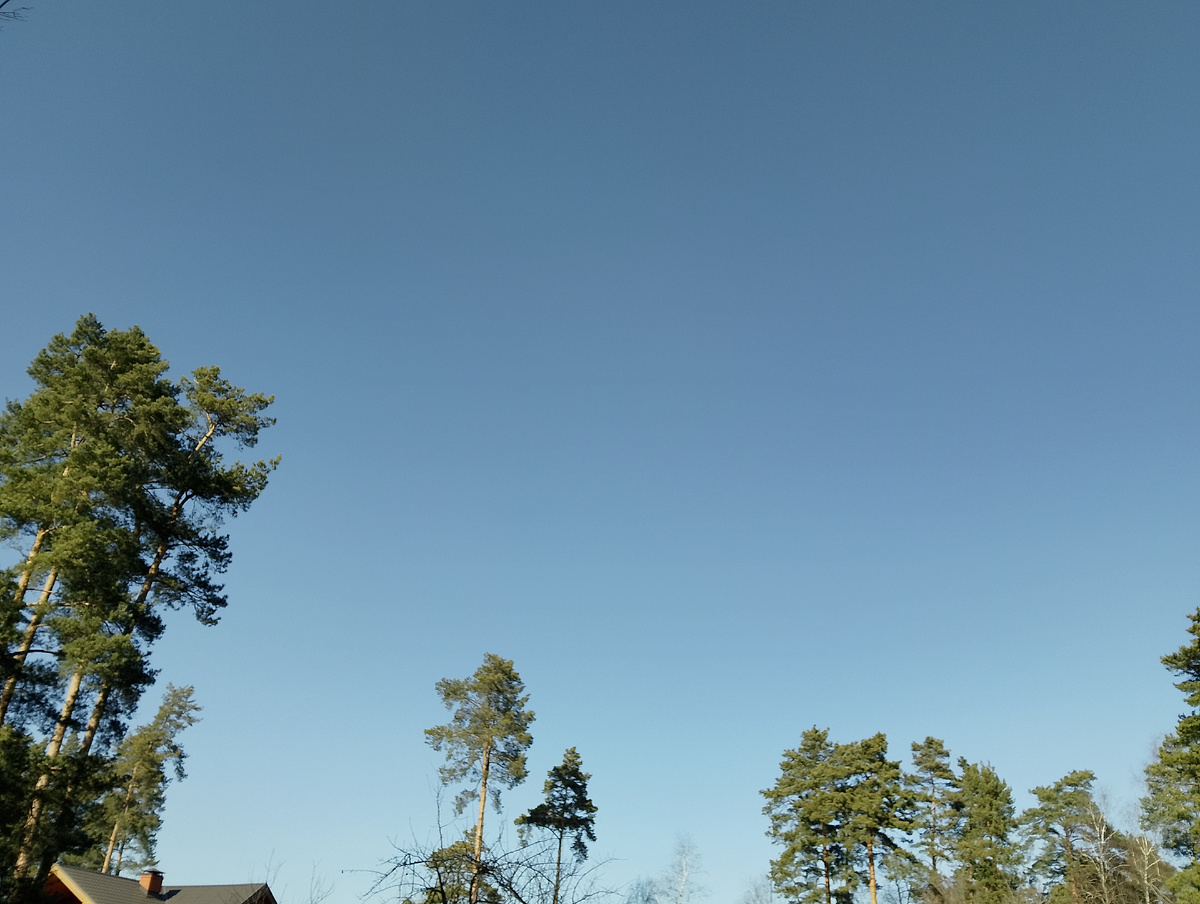 Голубое небо 08.03.2025, фото автора