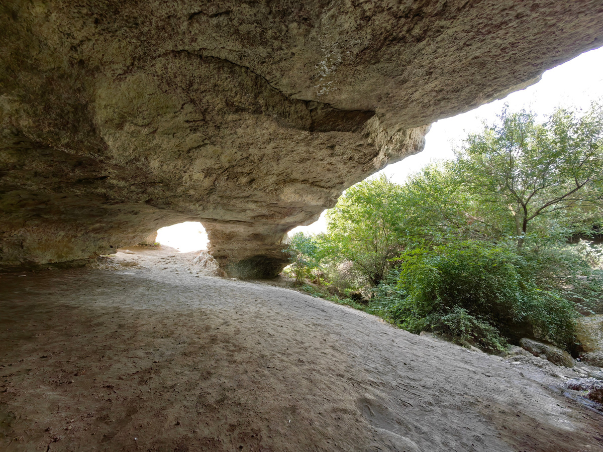 Фото: © Millenium