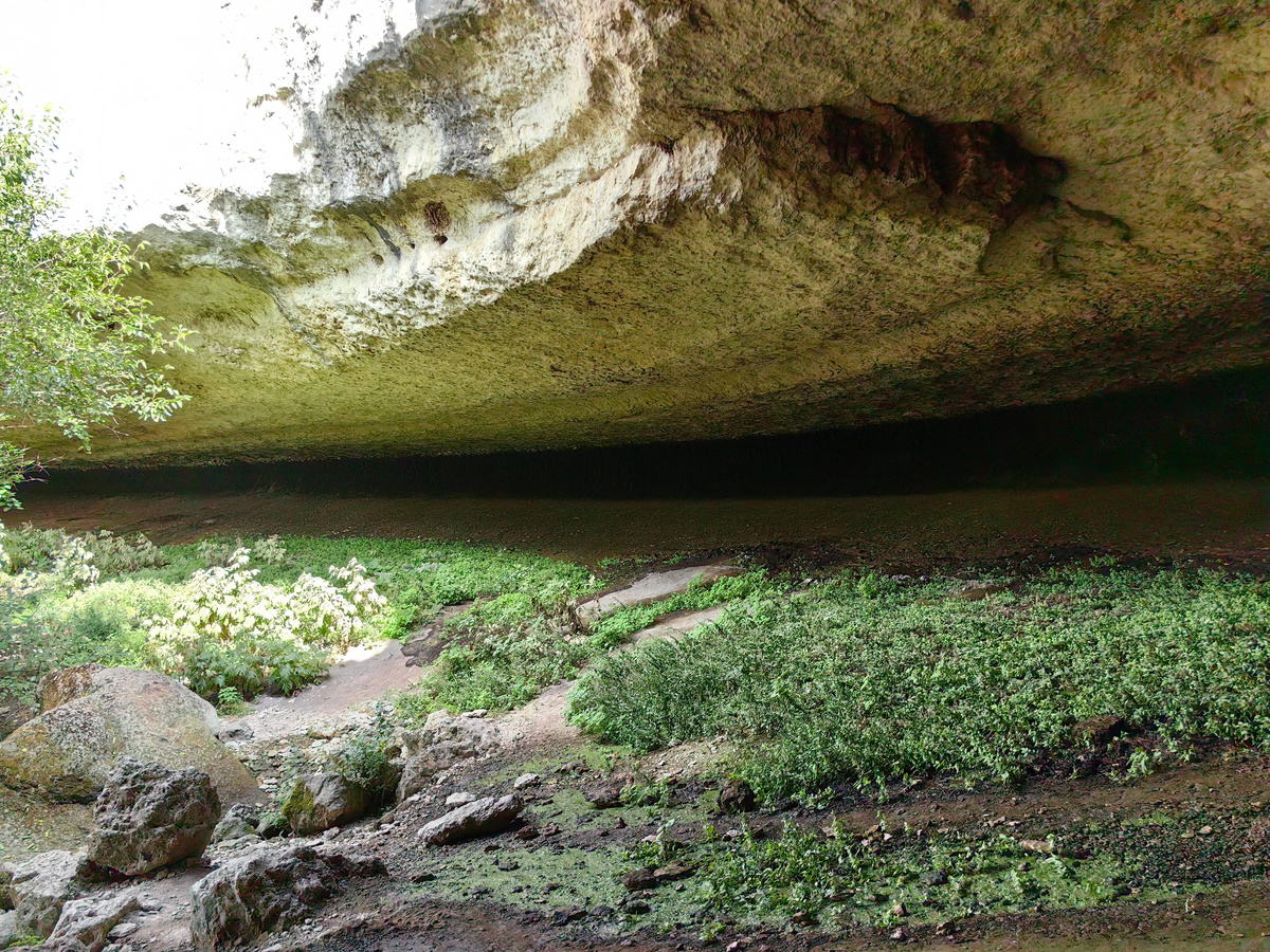 Фото: © Millenium