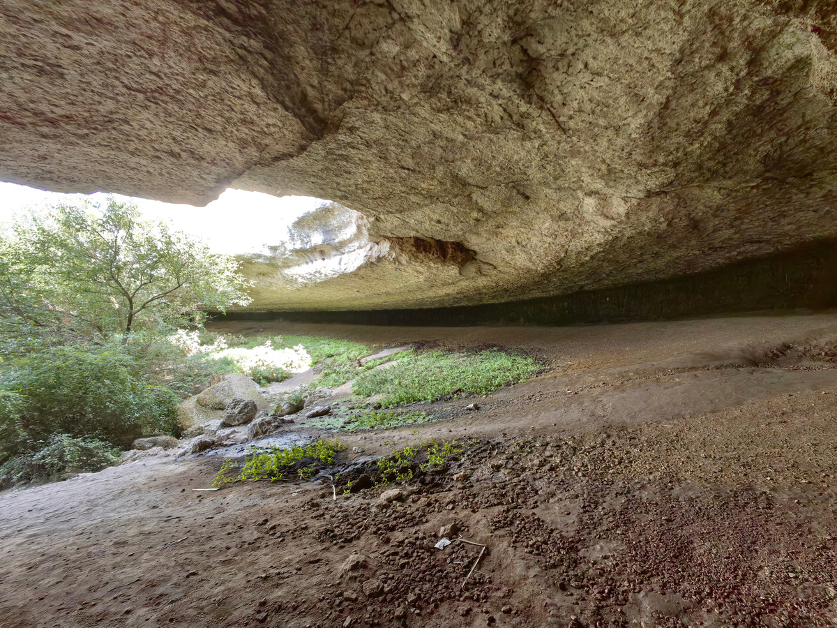 Фото: © Millenium