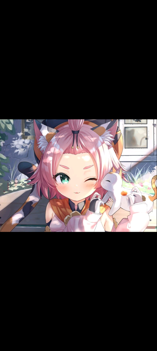 Мили фото с котиком 