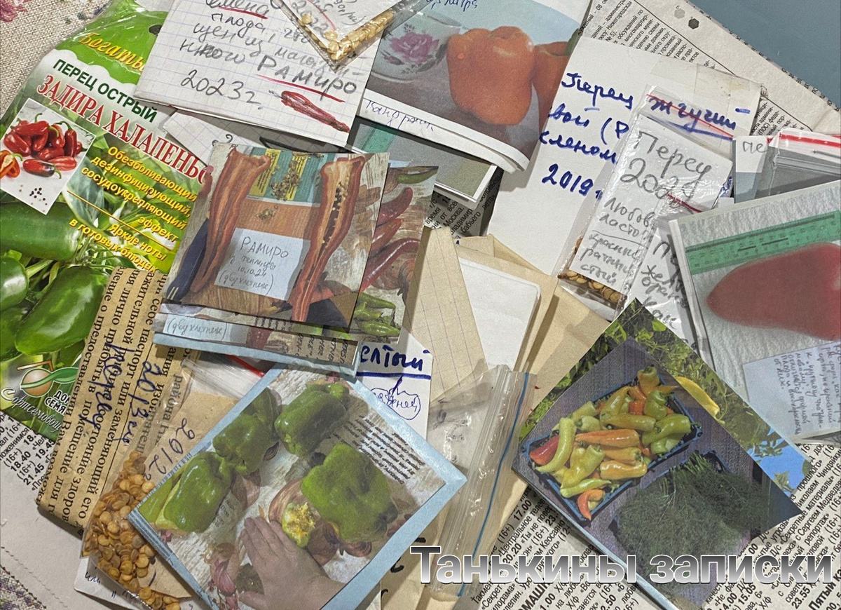 Свои семена перцев 