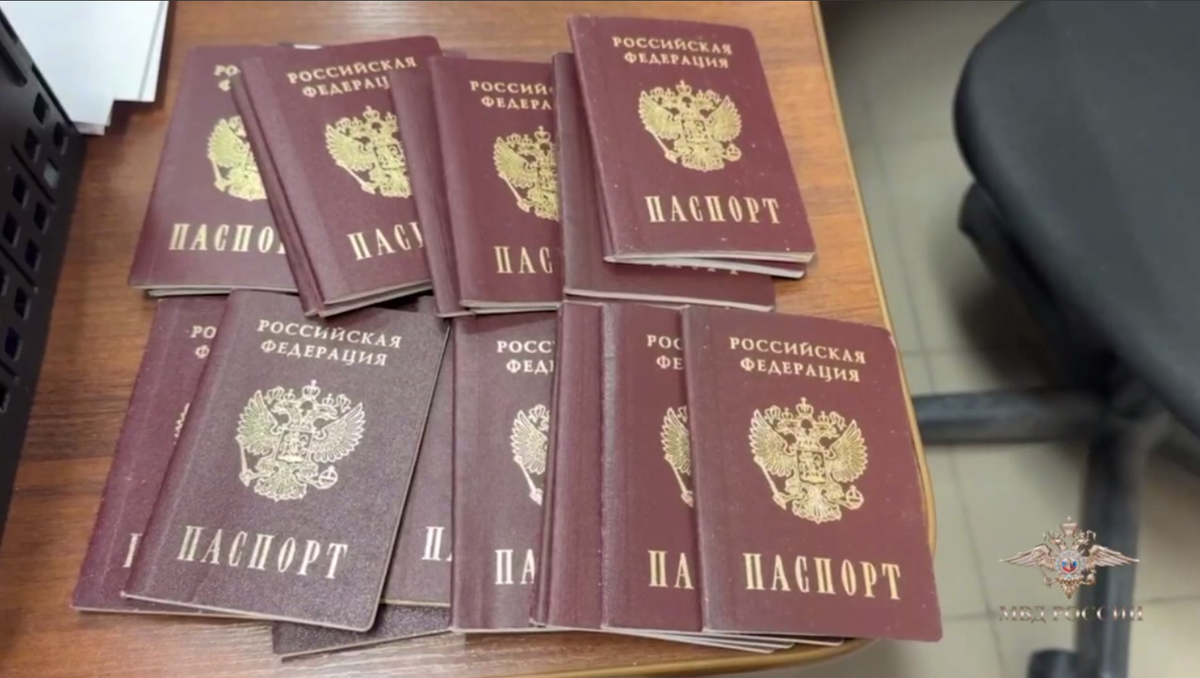    Фото: стоп-кадр видео пресс-службы МВД России