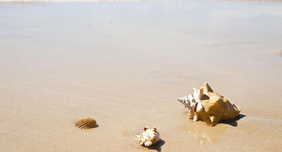    uwe umstätter/ imageBROKER.com / www.globallookpress.com