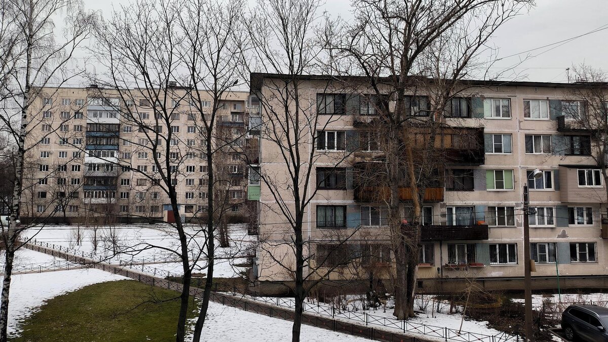    Фото: Maksim Konstantinov/globallookpress.com