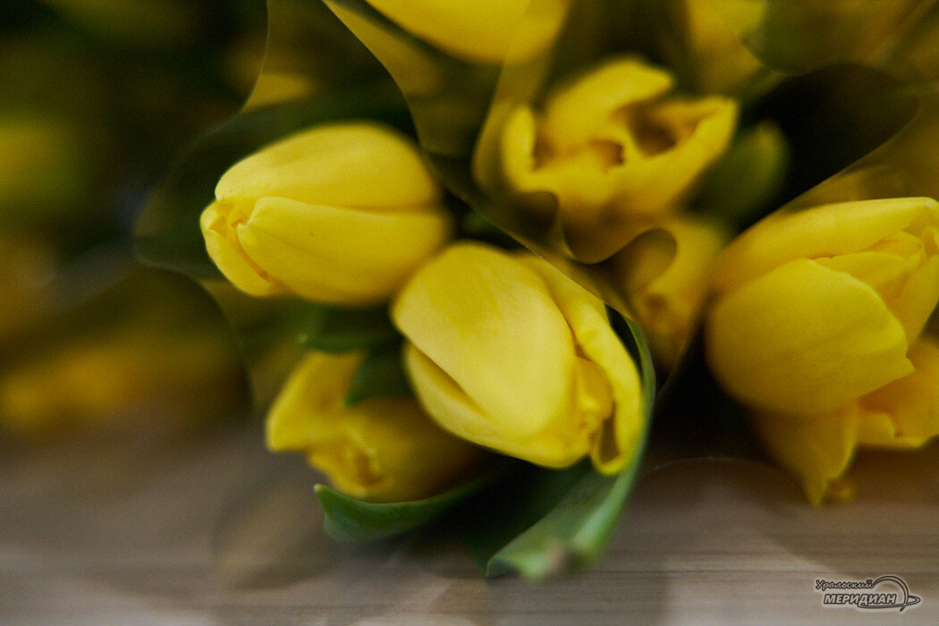    Фото: Лидия Аникина © ИА «Уральский меридиан»