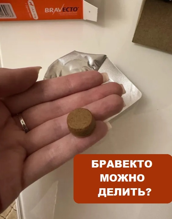 Можно ли делить Бравекто на части?