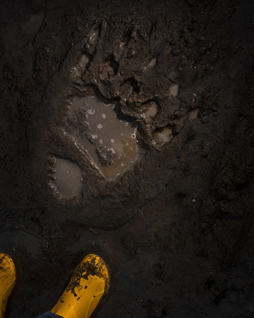 фотограф: Саша Никитин