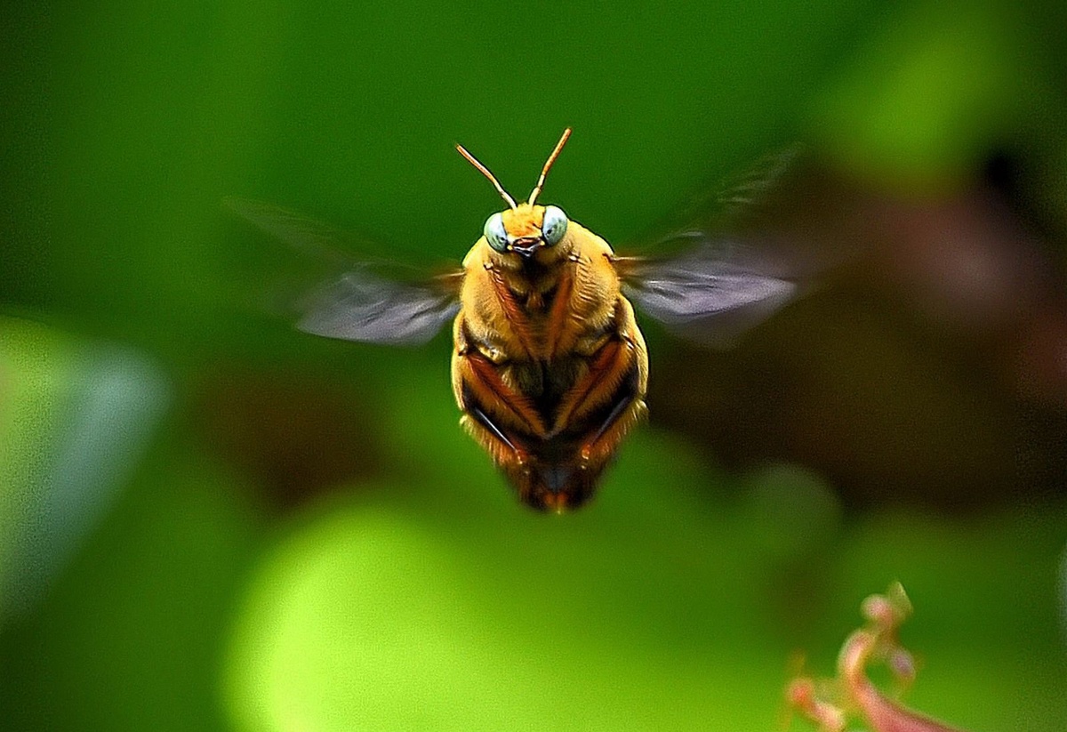 Фото из архива National Geographic