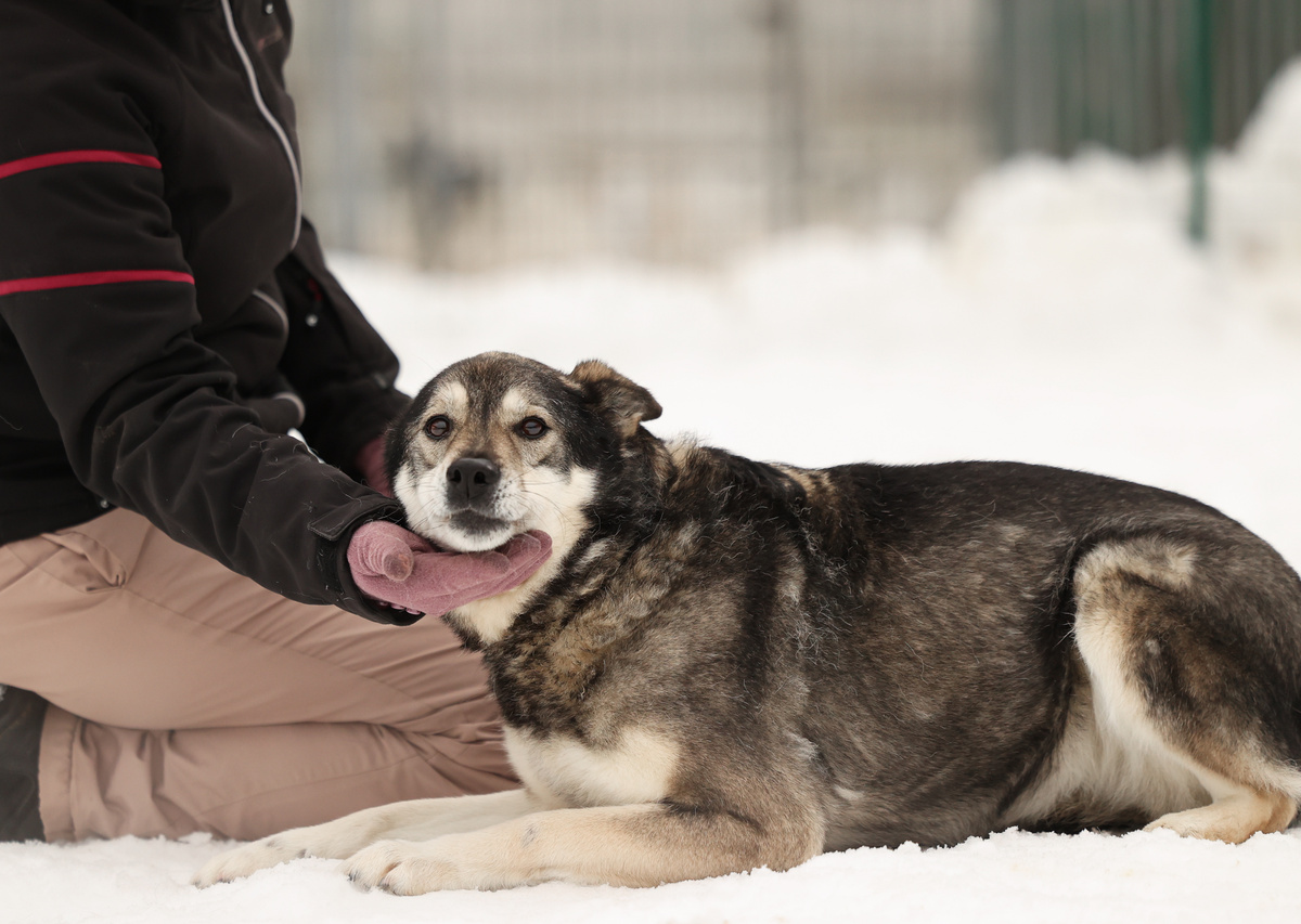 И мне самой не верится. что я здесь до юбилея дожила...