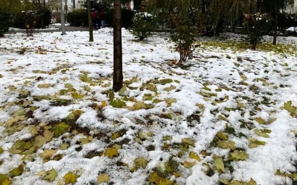    Фото: Светлана Лобова. UG.RU