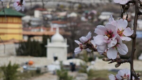    © Telegram-канал Владимира Константинова