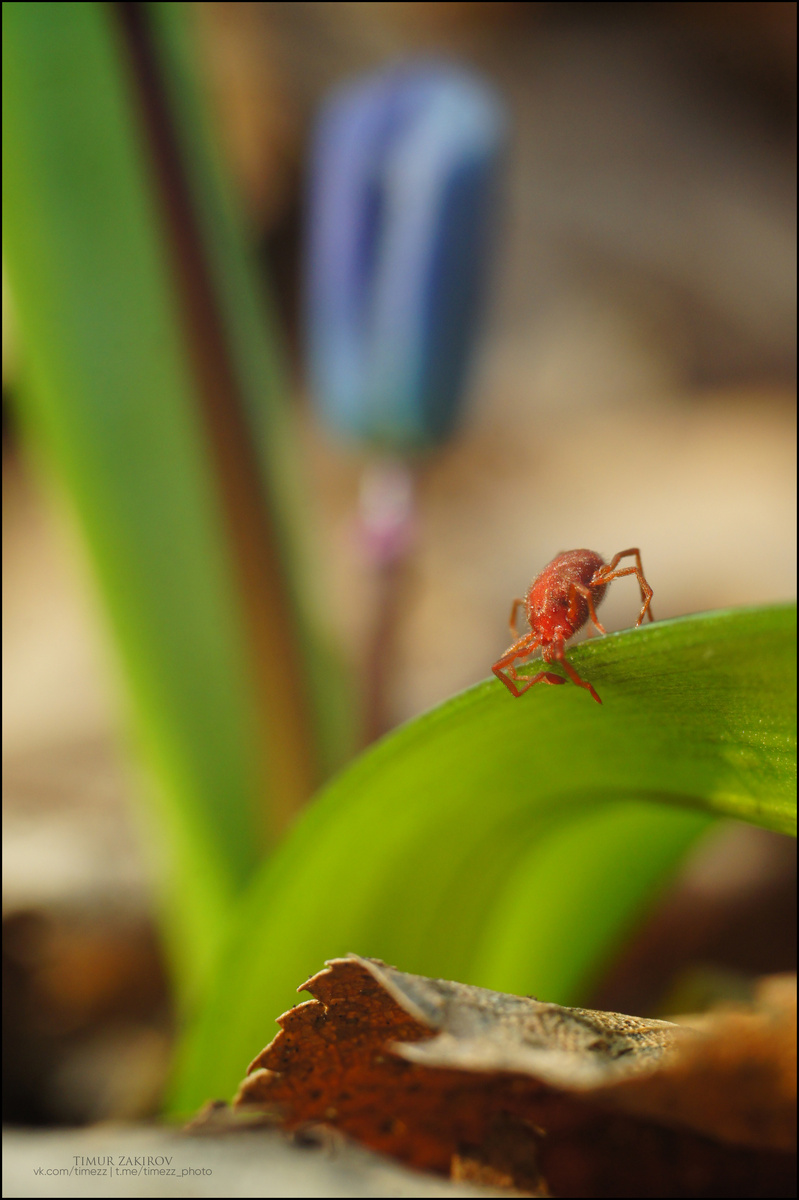 Тут есть еще один кадр - листайте >>>