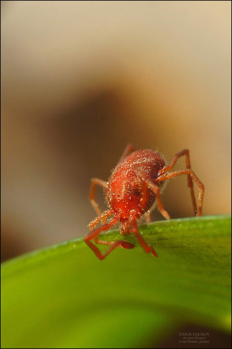 Вырезка из второго кадра из предыдущей галереи