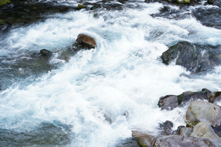    Фото: по лицензии CC0 photorobus.ru