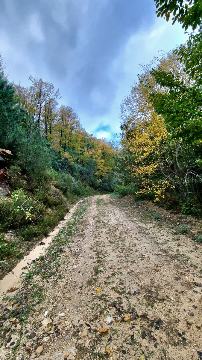 Турция, район Кыркларели. Фото Elena HrisTan 