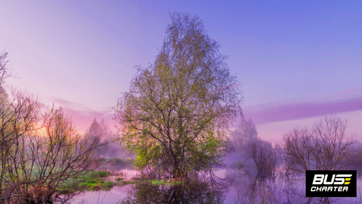 Лучшие весенние фото, лучшие локации