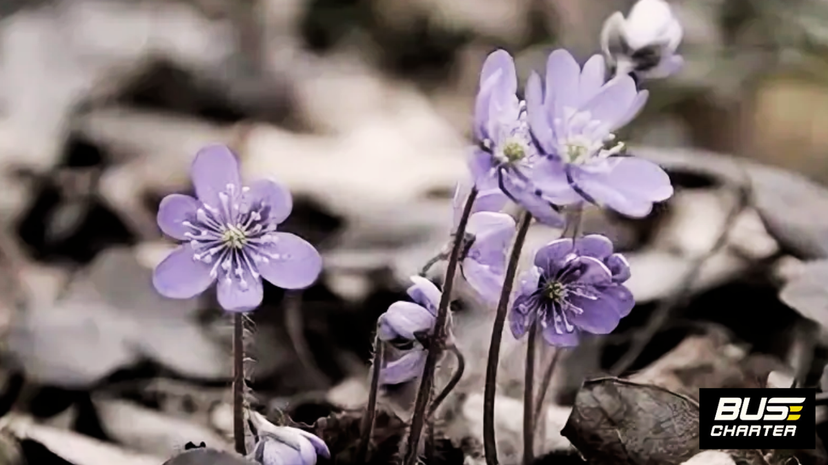 Как сделать красивые кадры, Лучшие фотографии