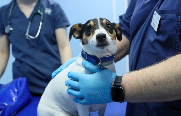    Сергей Петров/NEWS.ru