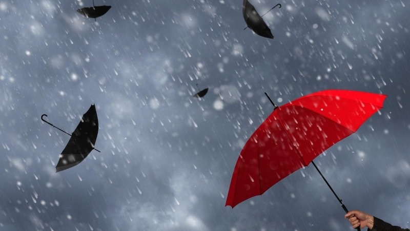 Фото: @EyeEm / freepik.com