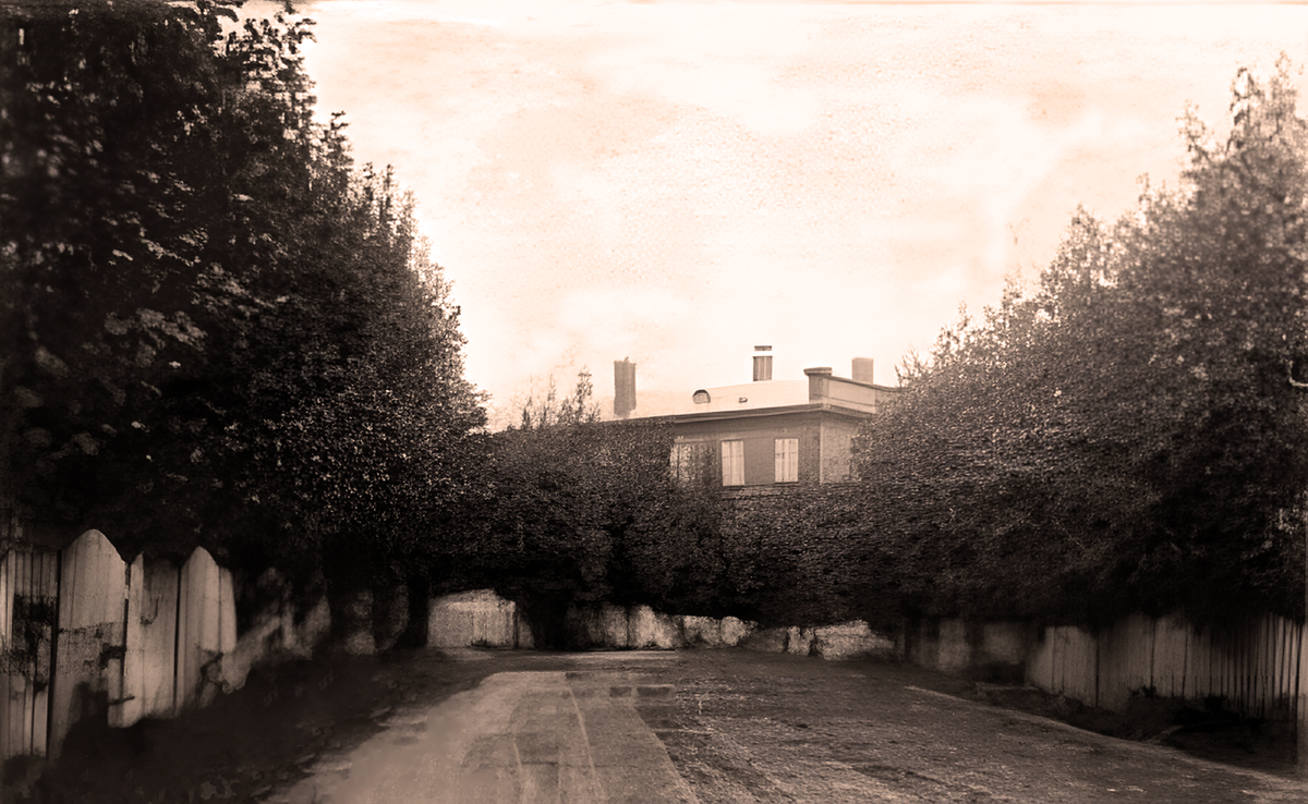 Открытка преобразована с помощью ИИ