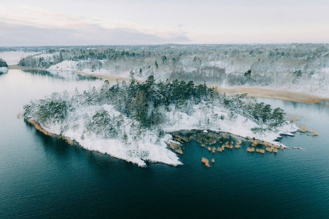 Источник: https://unsplash.com/  