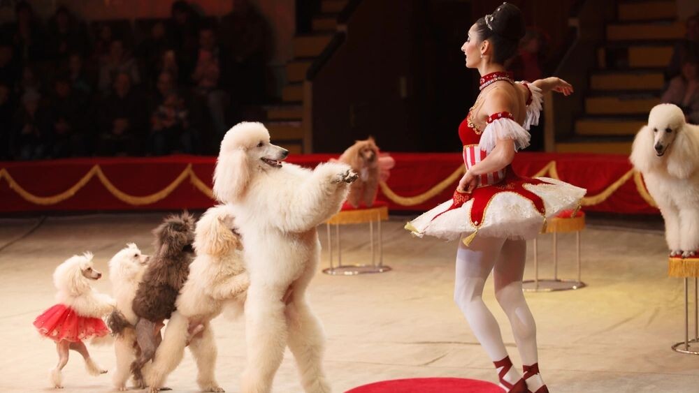    Фото: Norenko Andrey/Shutterstock/Fotodom