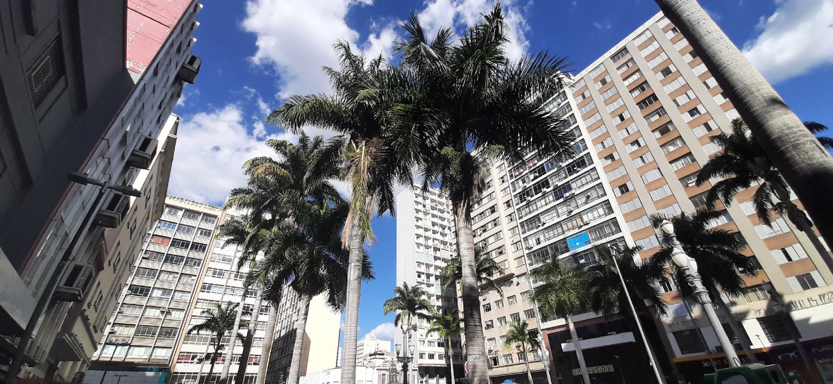 Город Кампинас, штат Сан-Паулу.