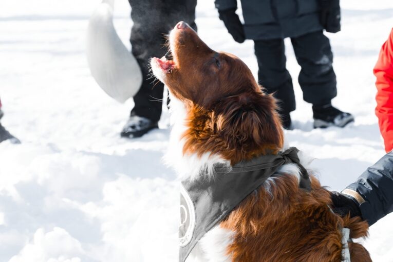 Фото: Ольга Цыкарева