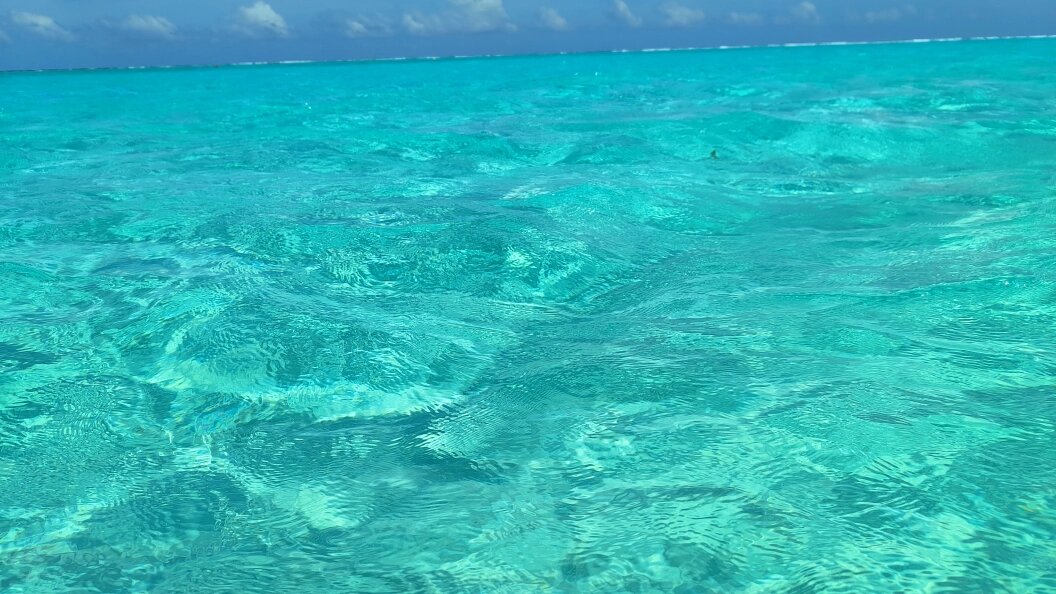    Фото: Maksim Konstantinov/Globallookpress