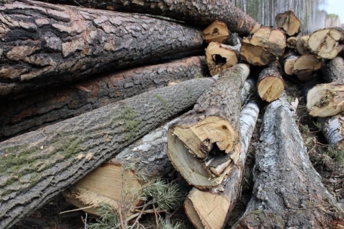    В Приморье суд вынес приговор предпринимателю за гибель ребенка