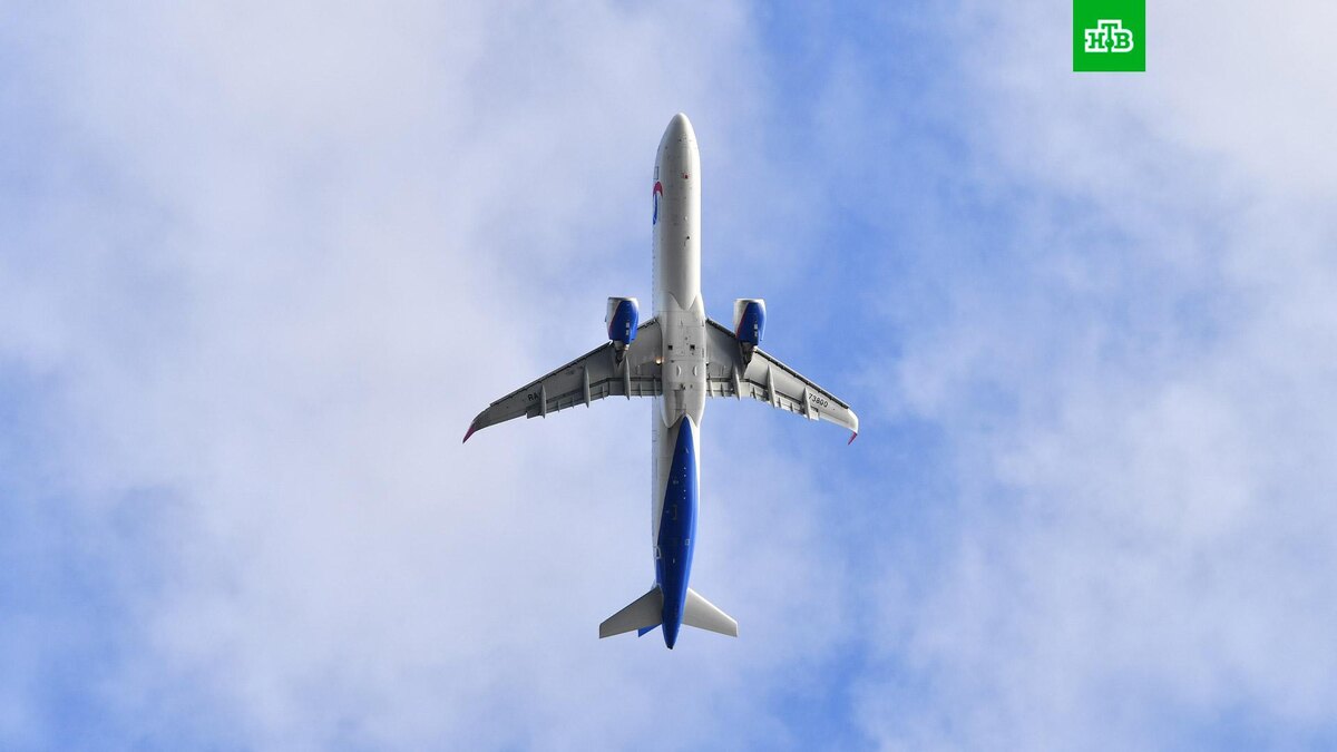    Фото: РИА Новости © 2025, Наталья Селиверстова