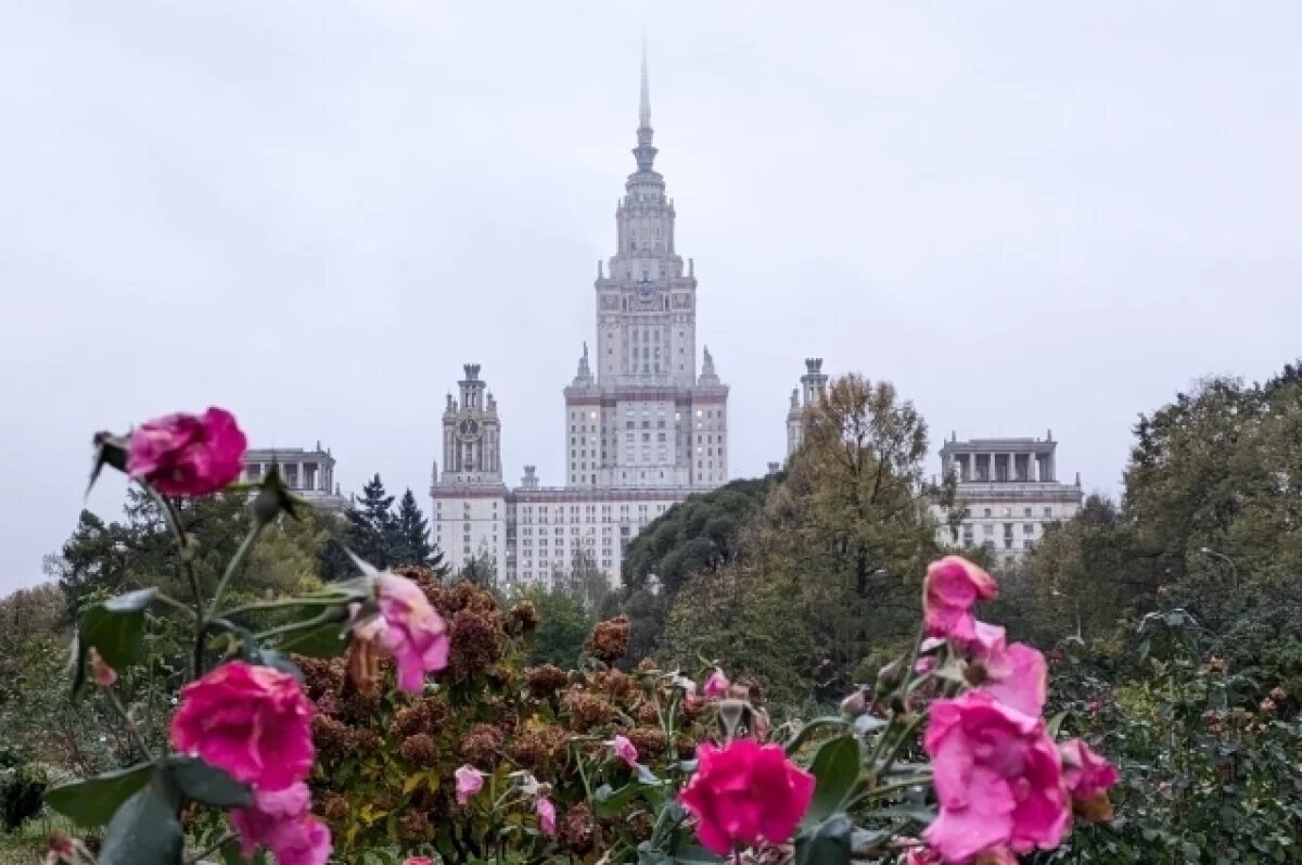    Красноярцы раскритиковали идею об ограничении приема в столичные вузы