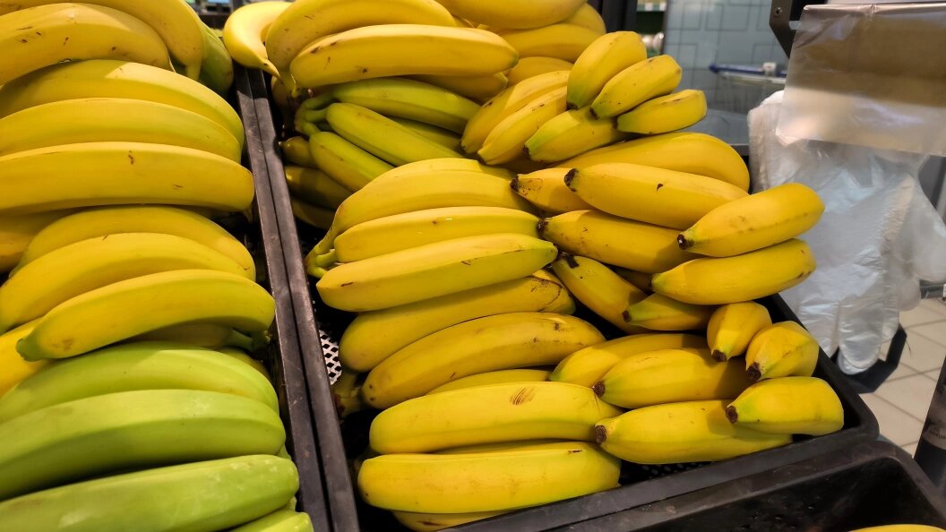    Maksim Konstantinov/Globallookpress