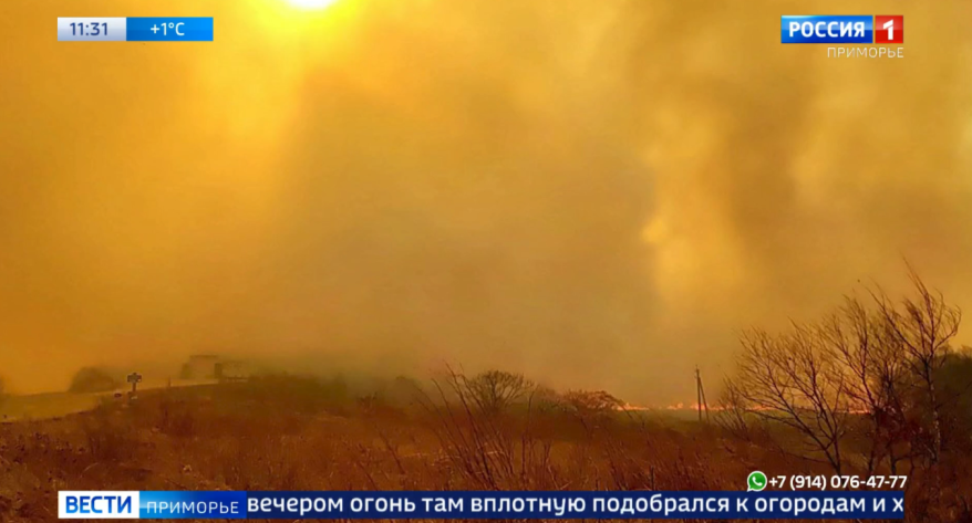    Источник фото: