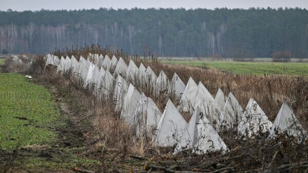    © РИА Новости . Кристина Кормилицына