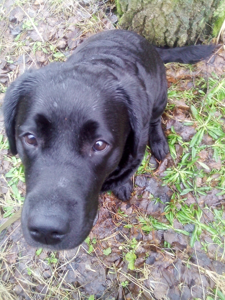 Фото автора .