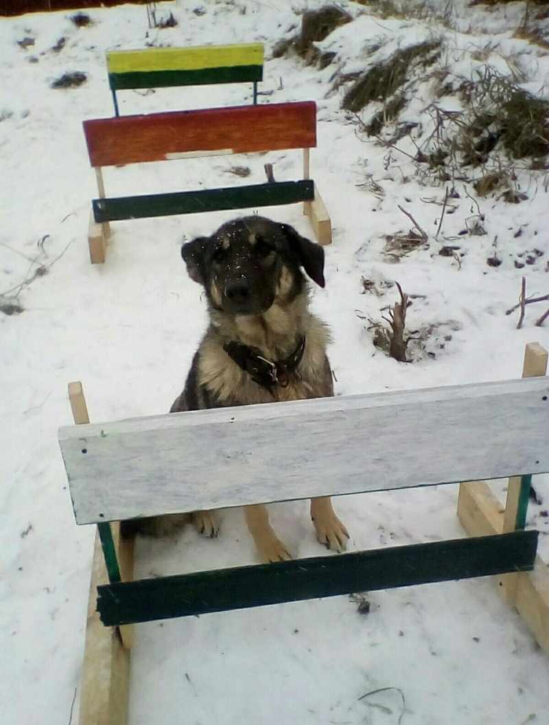 Фото автора.