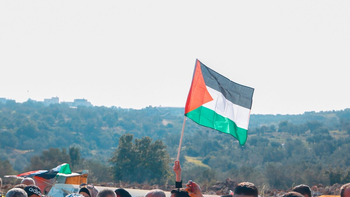    Фото: abu adel - photo/Shutterstock/Fotodom