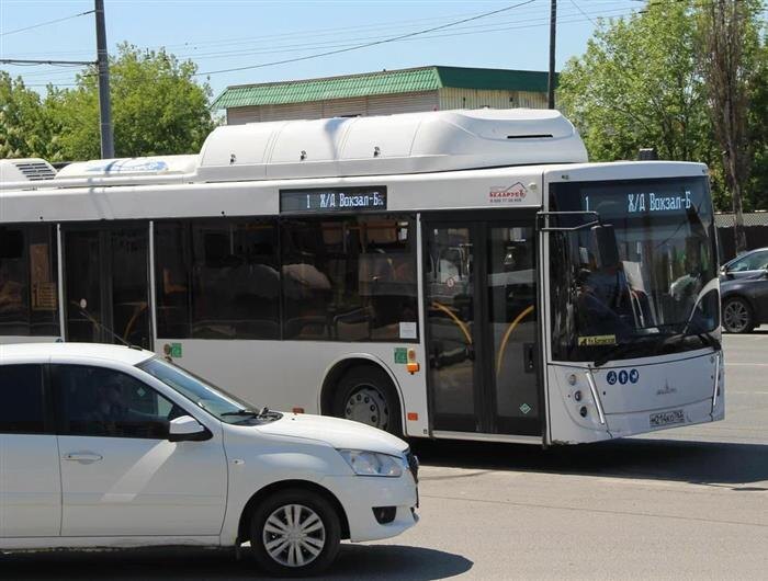    ФОТО: Ламзина Александра