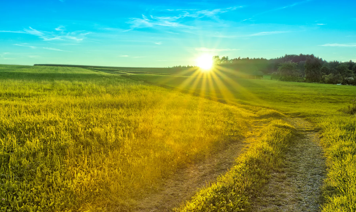 Яндекс картинки