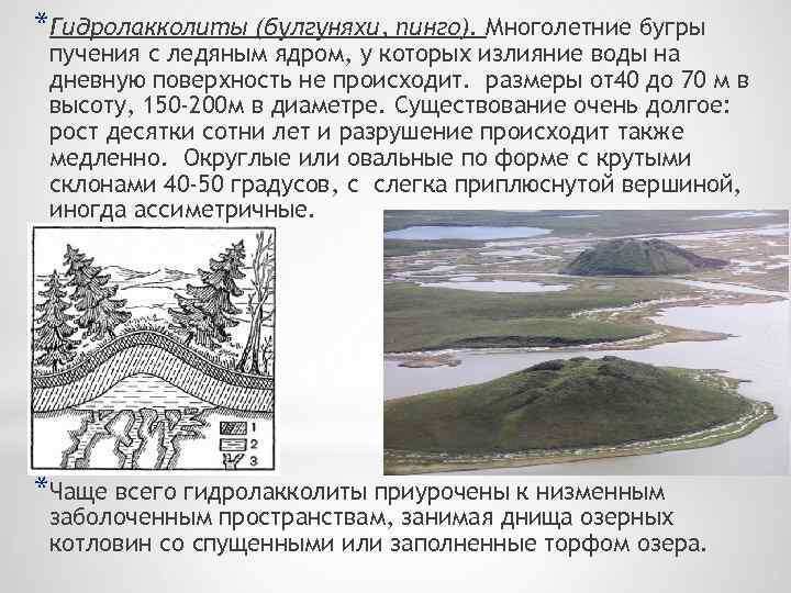 Изображение взято с сайта https://present5.com/presentation/1/37931975_156578450.pdf-img/37931975_156578450.pdf-12.jpg