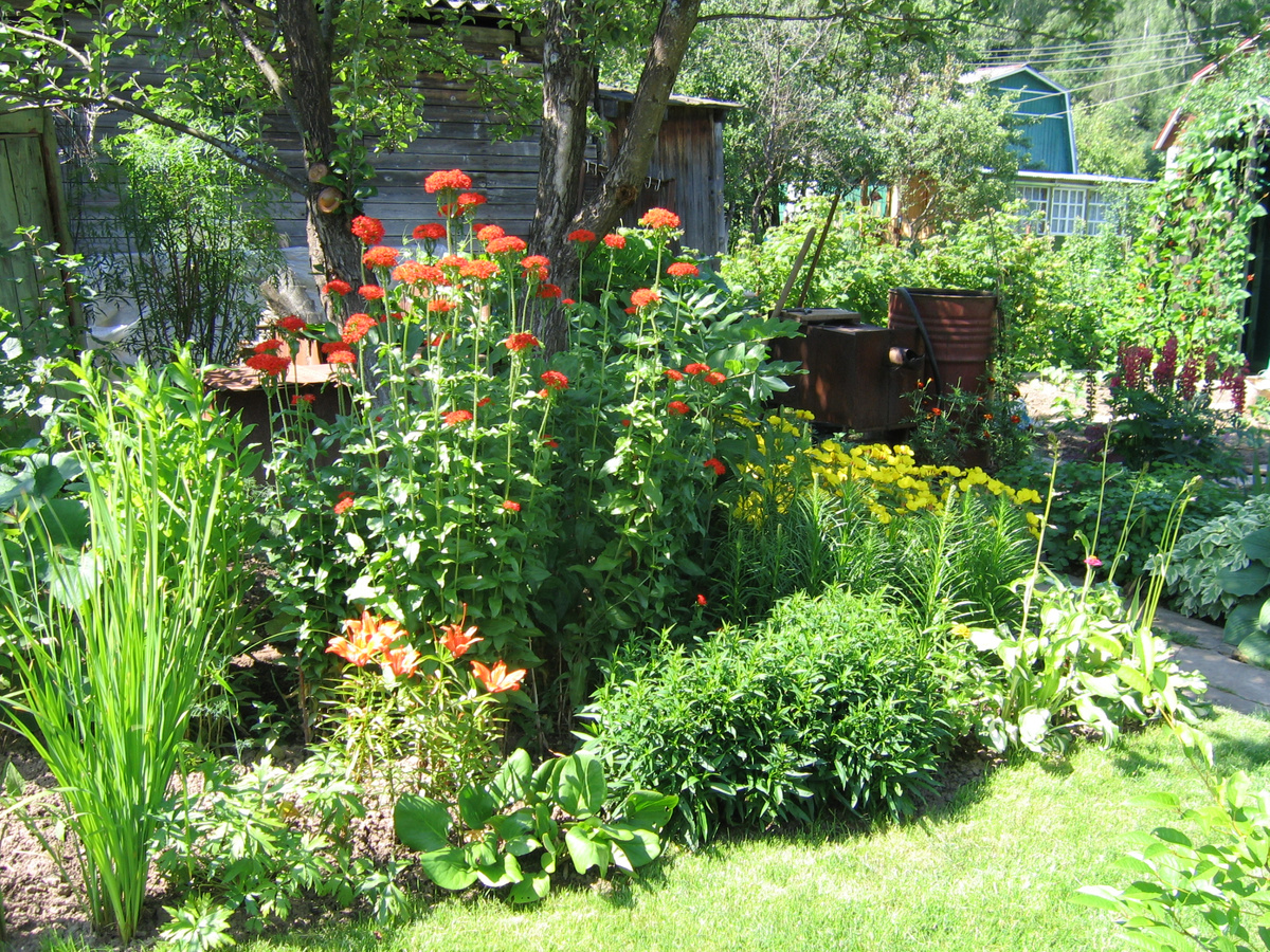 Тут сборная солянка, все дробное, не менее 9 видов