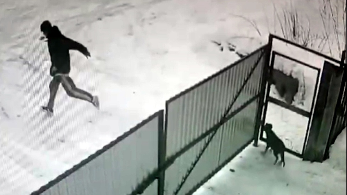 А тот прыгнул в машину - и по газам!