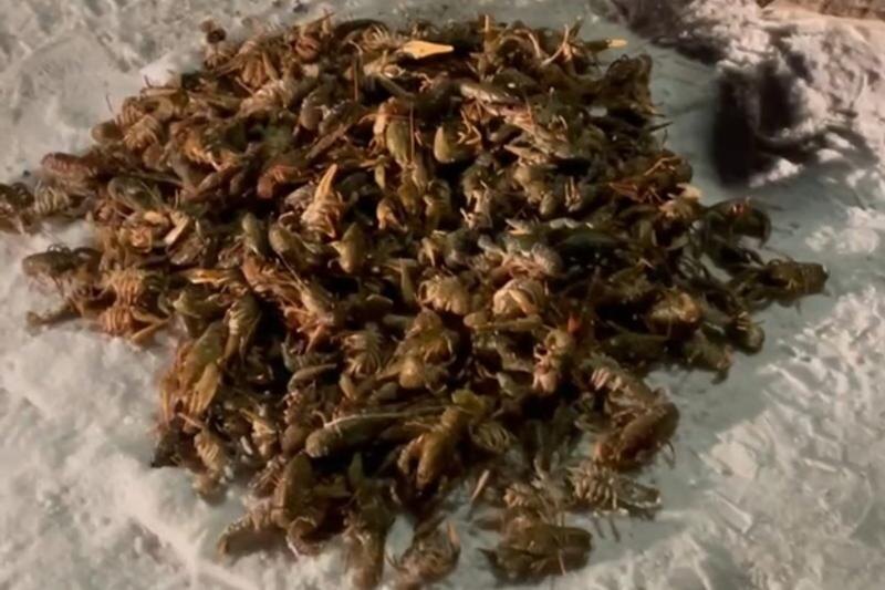    УМВД по Челябинску