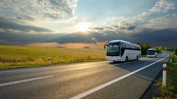    Фото: Milos Muller/Shutterstock/Fotodom