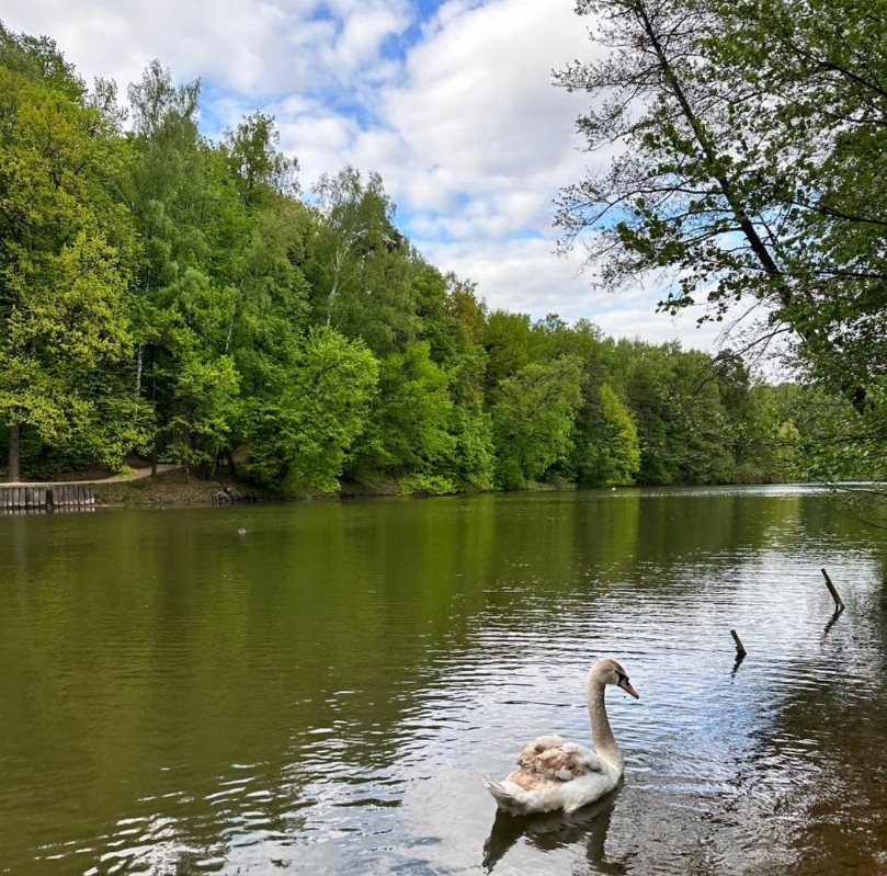 Пруды в Царицино, фото автора