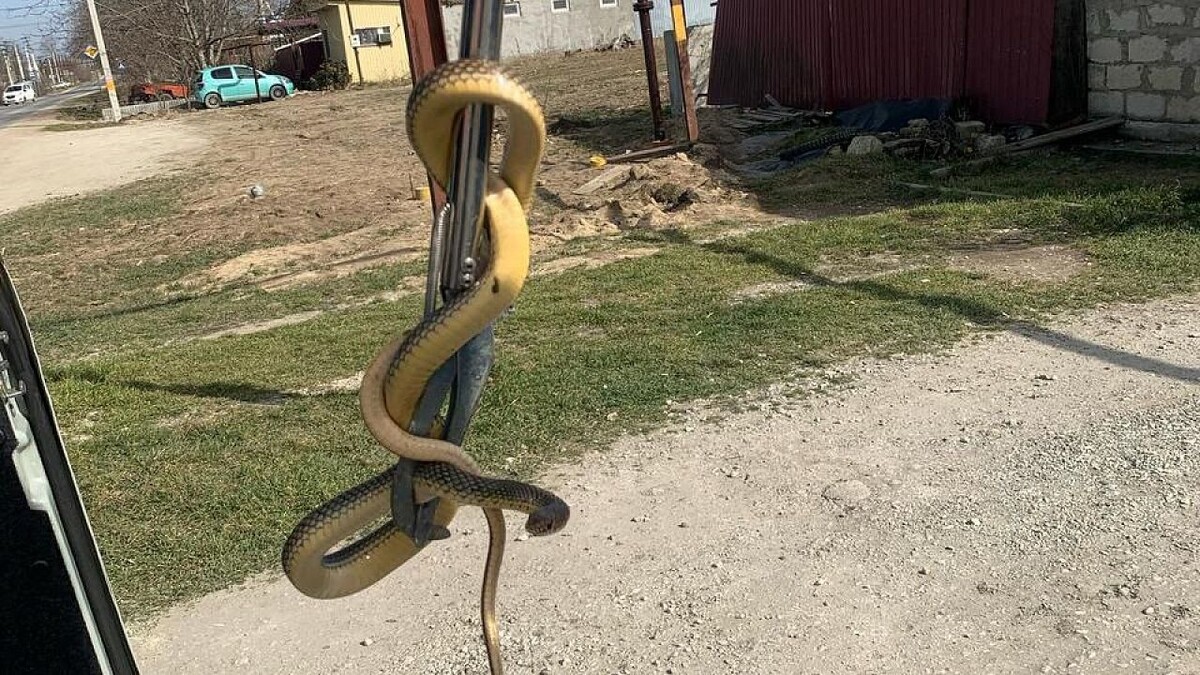    Фото: t.me/alekseioderov